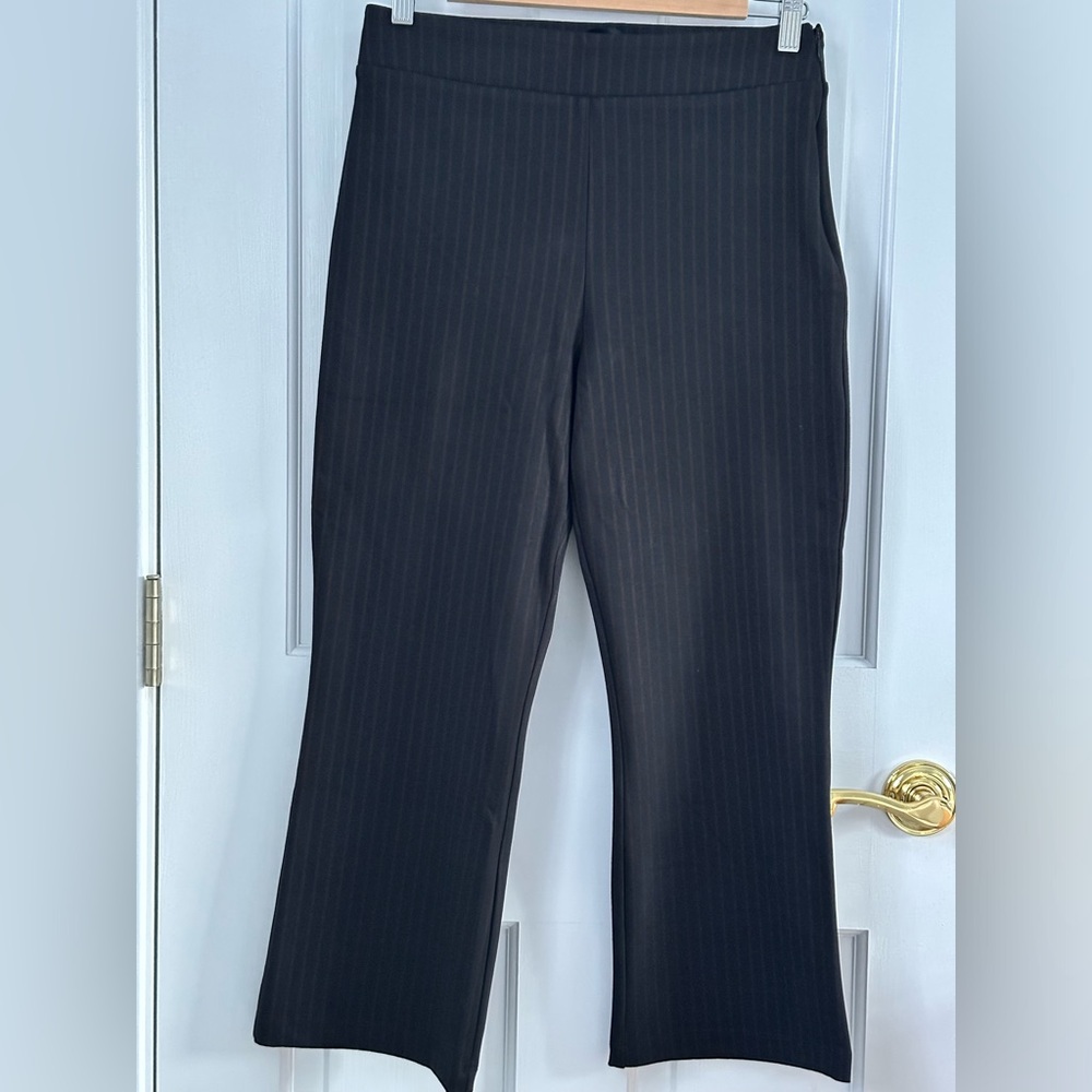 Sanctuary x Anthropologie Side Zip Pinstripe Pants 
Medium Petite Black